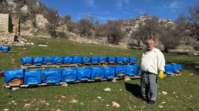 Havaların ısınmasıyla birlikte doğa yeniden canlanırken, arılar da kış uykusundan