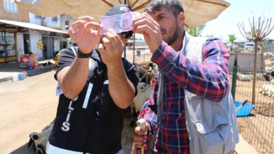 Diyarbakır’da Kurban Bayramı öncesi polis ekipleri, hayvan pazarlarında faaliyet gösteren