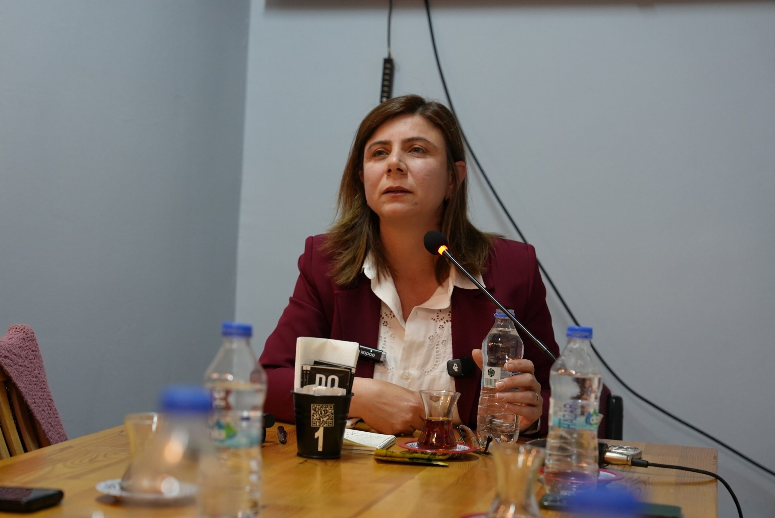 Diyarbakır Büyükşehir Belediyesi Eşbaşkanı Serra Bucak, Amed Edebiyat Evi’nde düzenlenen