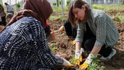 Diyarbakır Büyükşehir Belediyesinin kadın emeği ve dayanışmayı büyütmek amacıyla hayata
