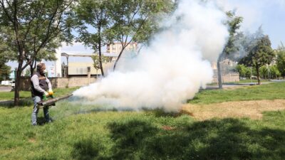 Diyarbakır Büyükşehir Belediyesi, ilkbahar ve yaz döneminde halk sağlığını korumak