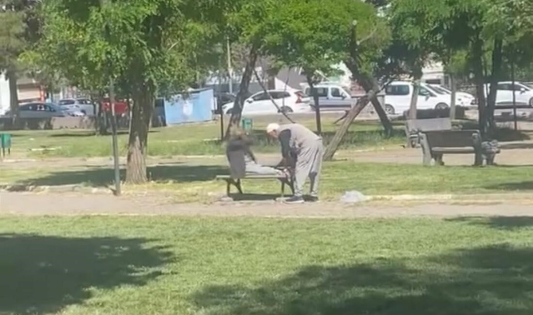 Diyarbakır'da parka giden yaşlı adamlar, bankta mekik çektiği anlar cep