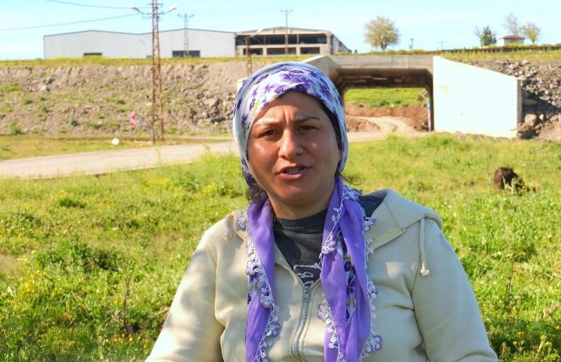Devlet destekleriyle Diyarbakır'da manda sayısı artıyor!