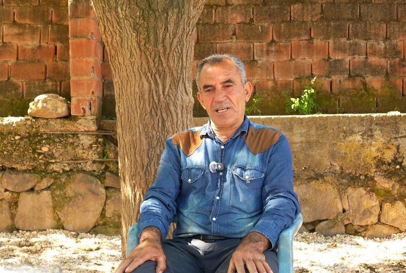 Devlet destekleriyle Diyarbakır'da manda sayısı artıyor!