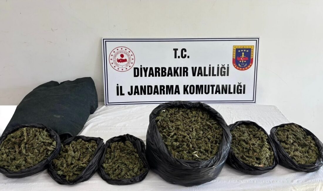 Diyarbakır’da jandarma ekiplerince düzenlenen operasyonlarda 20 kilo skunk maddesi ile