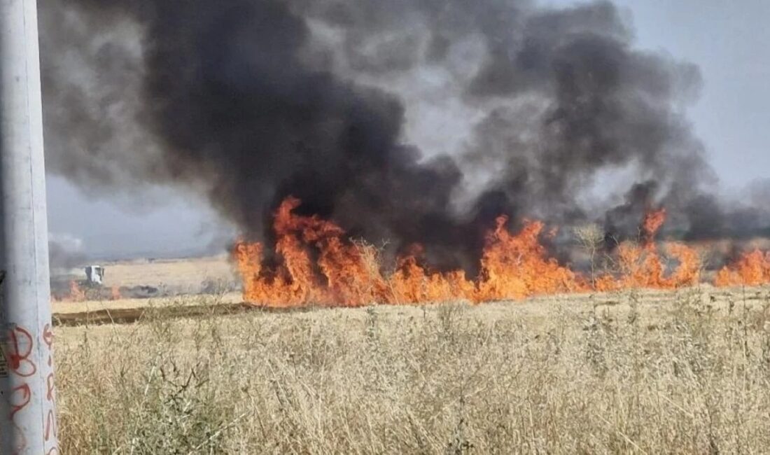 Yaz aylarının gelmesiyle birlikte Diyarbakır başta olmak üzere Güneydoğu Anadolu