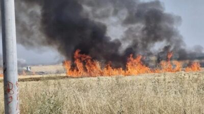 Yaz aylarının gelmesiyle birlikte Diyarbakır başta olmak üzere Güneydoğu Anadolu