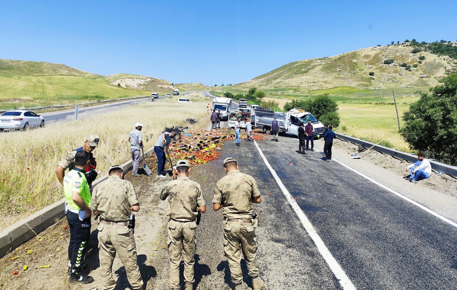 Diyarbakır'ın Silvan ilçesinde meyve ve sebze yüklü kamyonetin seyir halindeyken