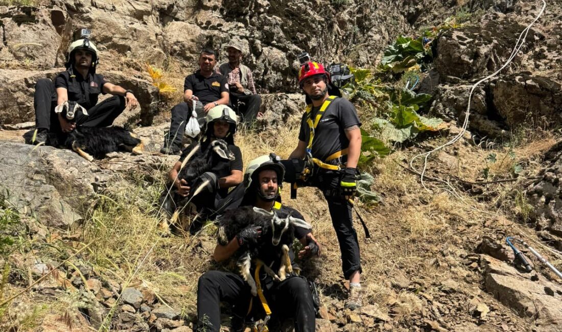 Diyarbakır'ın Kulp ilçesinde kayalık alanda mahsur kalan 3 oğlak, itfaiye