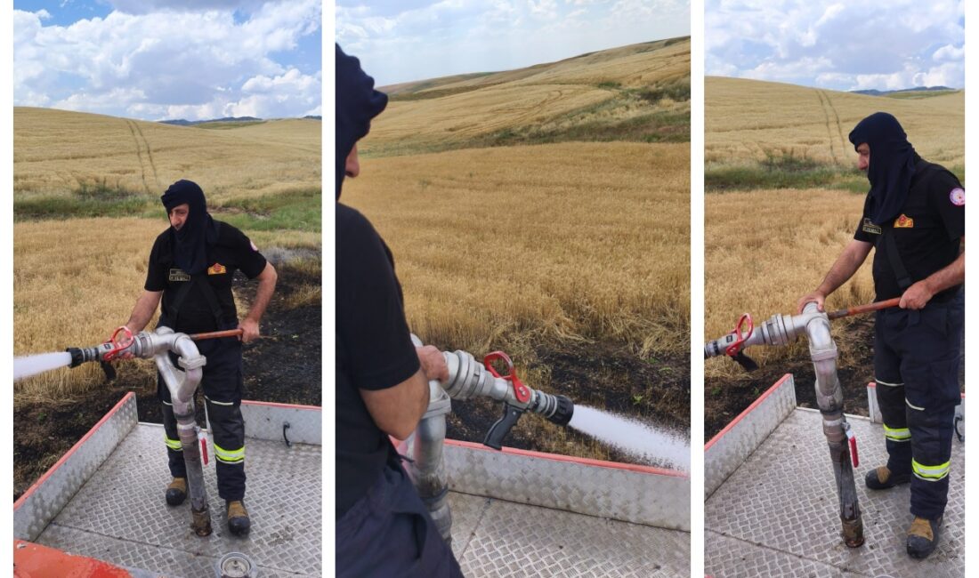 Diyarbakır’ın Silvan ilçesinde çıkan yangında iki dönümlük buğday ekili alan