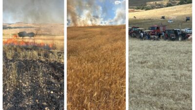 Diyarbakır'ın Çınar ilçesinde bir tarlada çıkan yangında 200 dönüm buğday