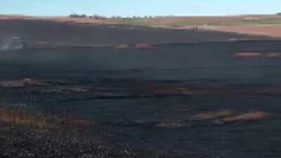 Diyarbakır’ın Silvan ilçesinde hasat yapan biçerdöverden çıkan kıvılcım ekili ve