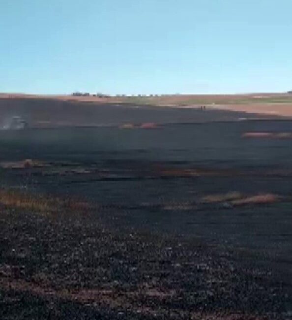 Diyarbakır’ın Silvan ilçesinde hasat yapan biçerdöverden çıkan kıvılcım ekili ve