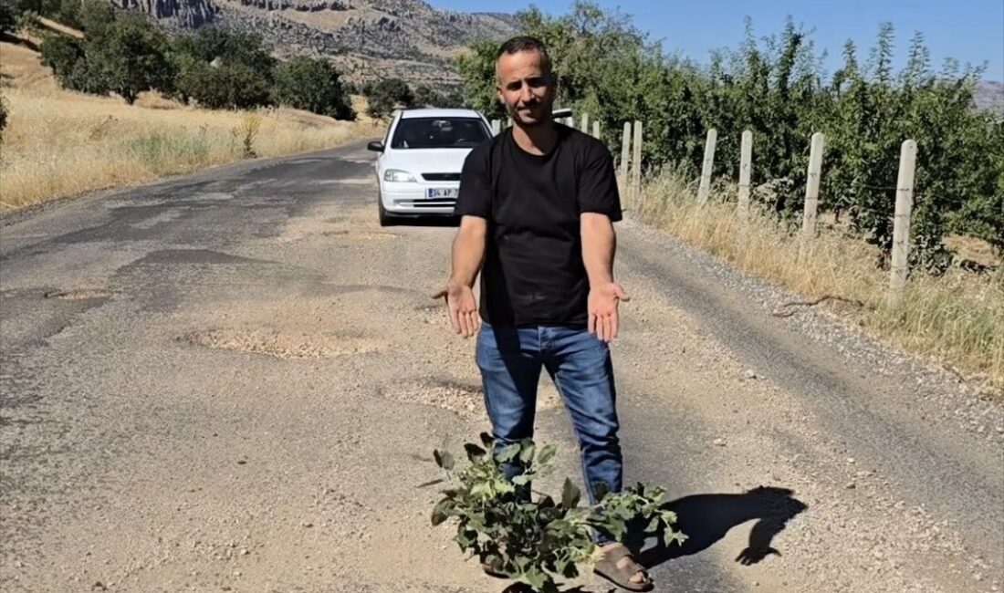 Diyarbakır'ın Çermik ilçesindeki Haseran bölgesi grup yolu, vatandaşların ilginç yöntemi