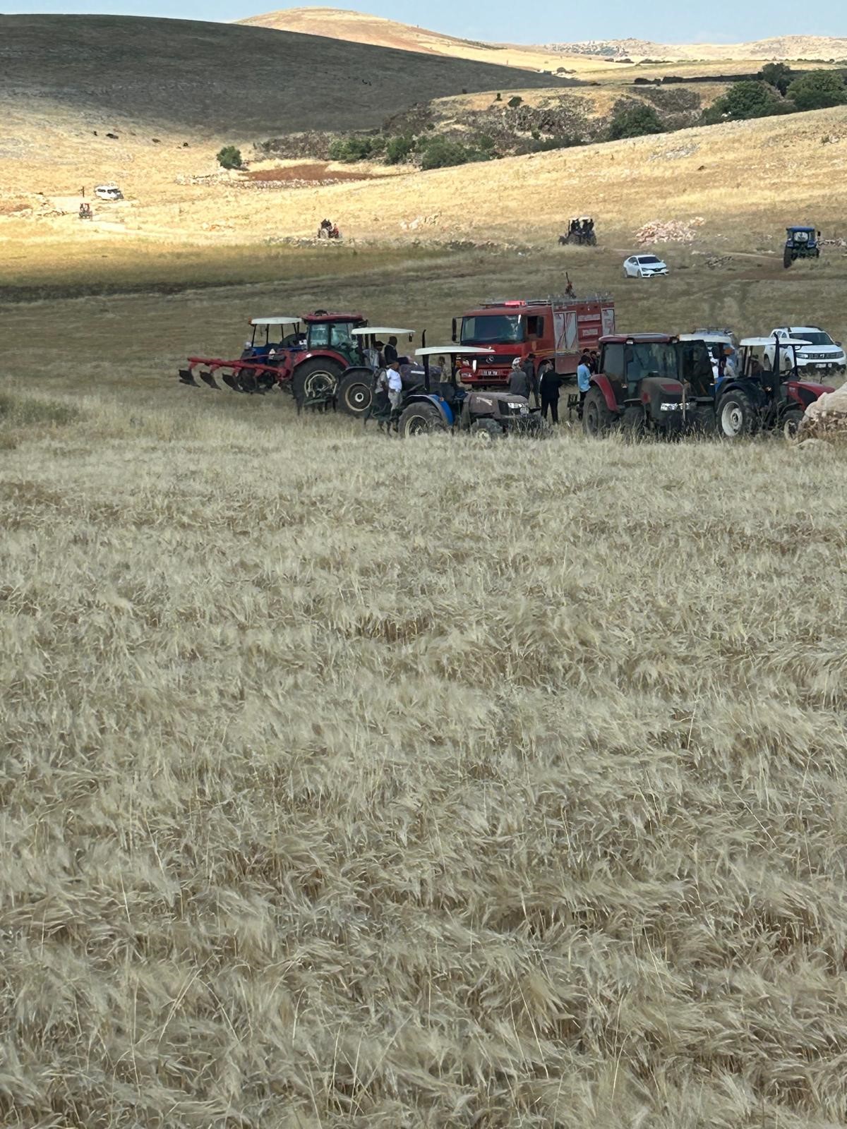 Çınar'da tarla yangınında yüzlerce dönüm buğday kül oldu