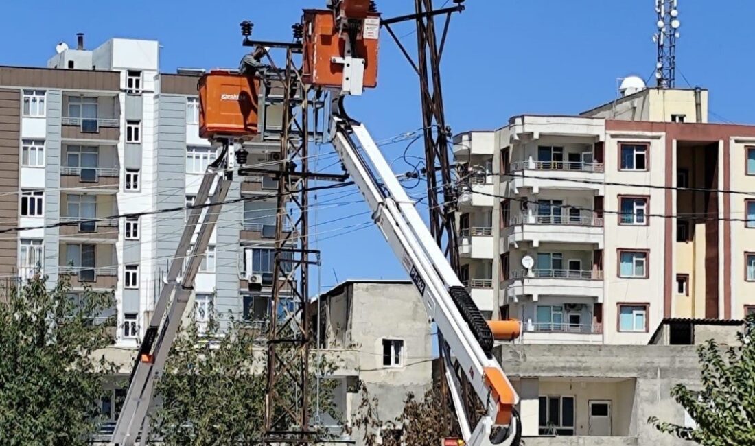 Dicle Elektrik, Şanlıurfa'da kaliteli, kesintisiz ve sürdürülebilir enerji dağıtımı hedefiyle