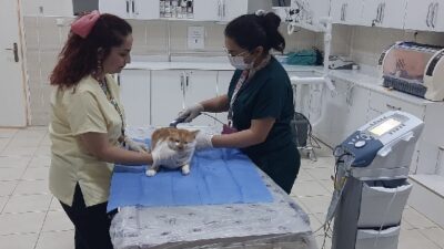 Dicle Üniversitesi Veteriner Fakültesi Hayvan Hastanesi, ileri teknolojik cihaz altyapısı