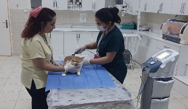 Dicle Üniversitesi Veteriner Fakültesi Hayvan Hastanesi, ileri teknolojik cihaz altyapısı
