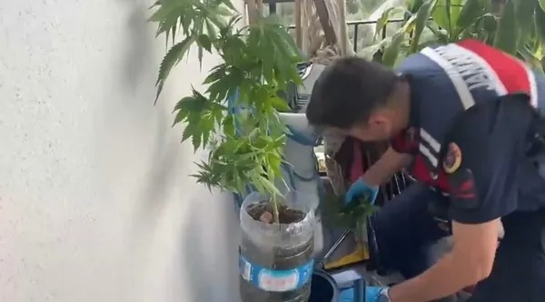 Uyuşturucu madde bulunduran şahıslara yönelik 5 ilde düzenlenen operasyonlarda 341