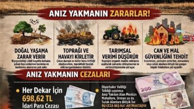 Diyarbakır'da anız yakanlar hakkında dekar başı 698 lira 62 kuruş