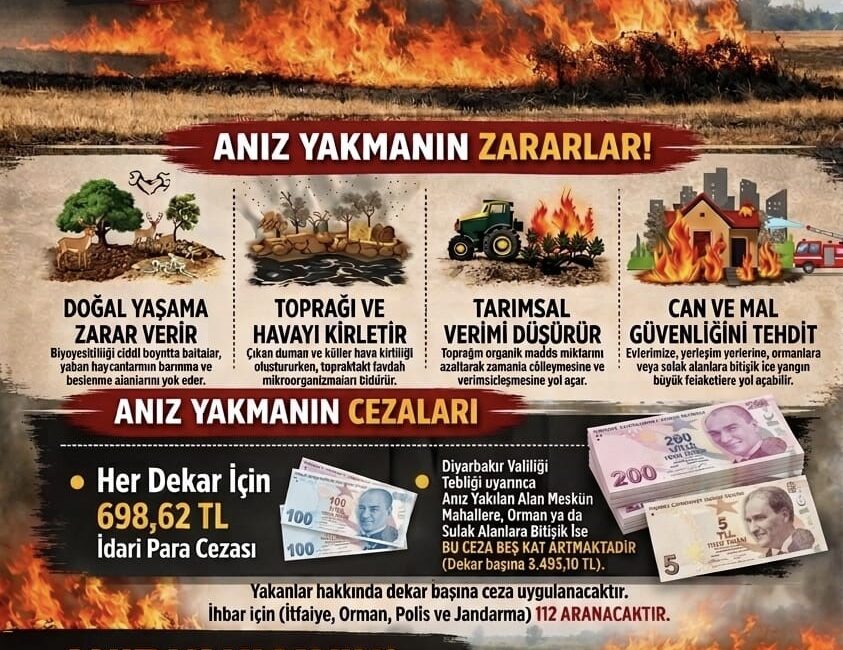 Diyarbakır'da anız yakanlar hakkında dekar başı 698 lira 62 kuruş
