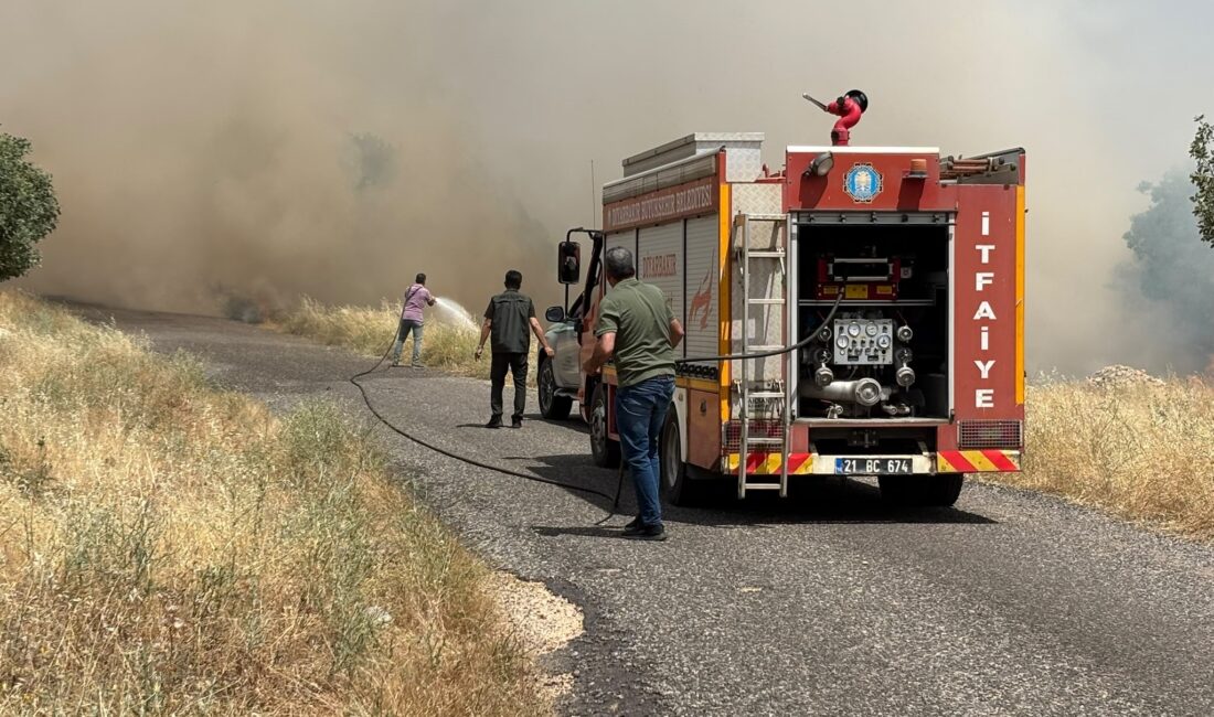 Diyarbakır'ın Eğil ilçesinde buğday ekili arazide yangın çıktı. Alevler rüzgarın