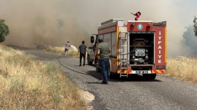 Diyarbakır'ın Eğil ilçesinde buğday ekili arazide yangın çıktı. Alevler rüzgarın