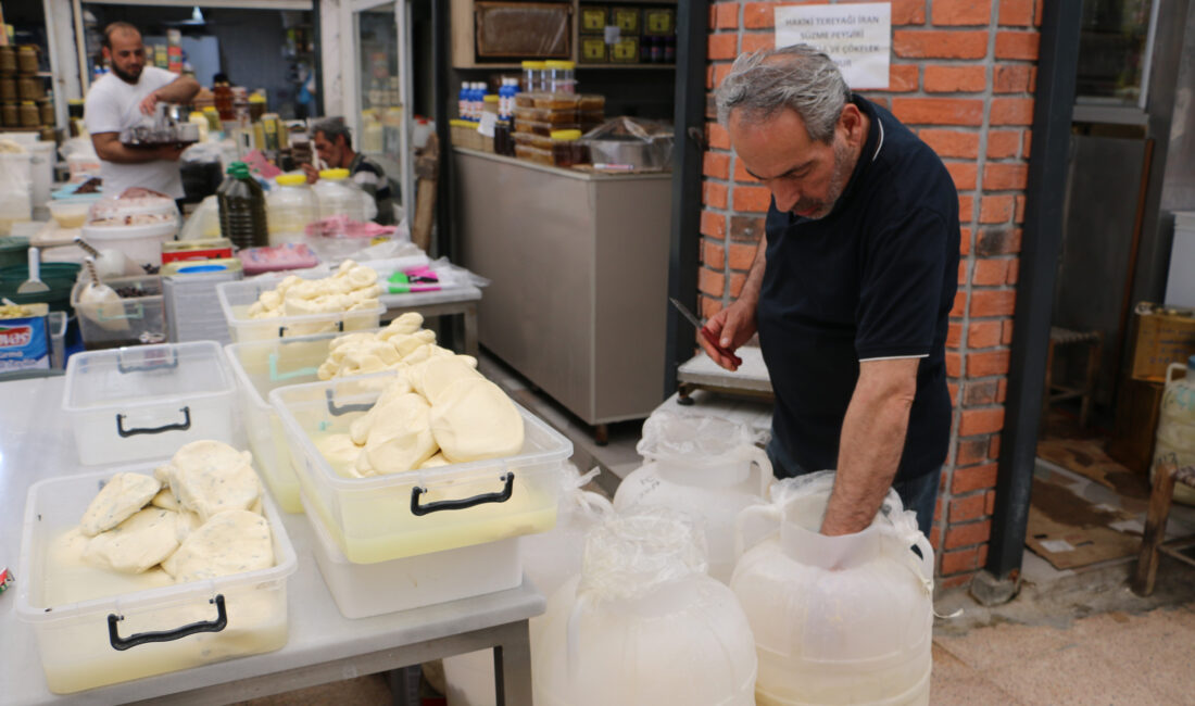 Diyarbakır’da vatandaşlar, yaz aylarında daha yağlı ve uygun fiyatlı olan