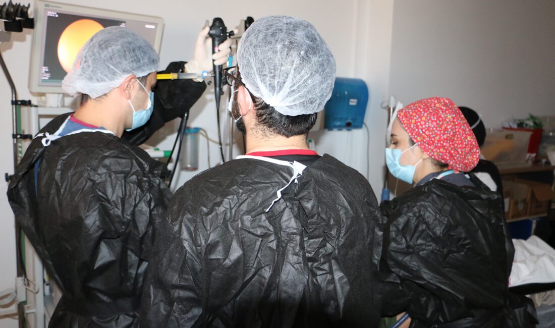 Diyarbakır Gazi Yaşargil Eğitim ve Araştırma Hastanesi'nde Göğüs Hastalıkları Kliniği