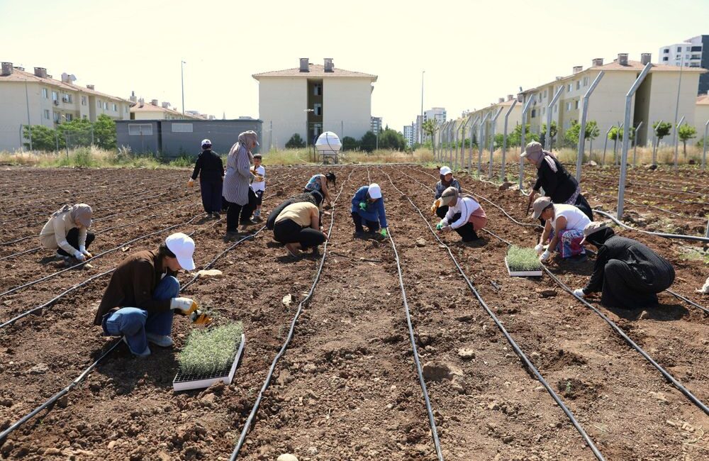 Diyarbakır Büyükşehir Belediyesinin kadın emeği ve dayanışmasını büyütmek amacıyla hayata