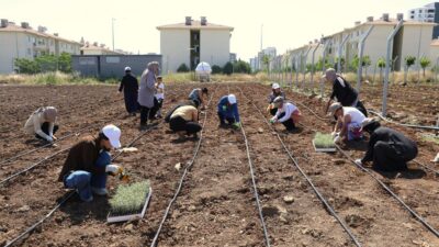 Diyarbakır Büyükşehir Belediyesinin kadın emeği ve dayanışmasını büyütmek amacıyla hayata