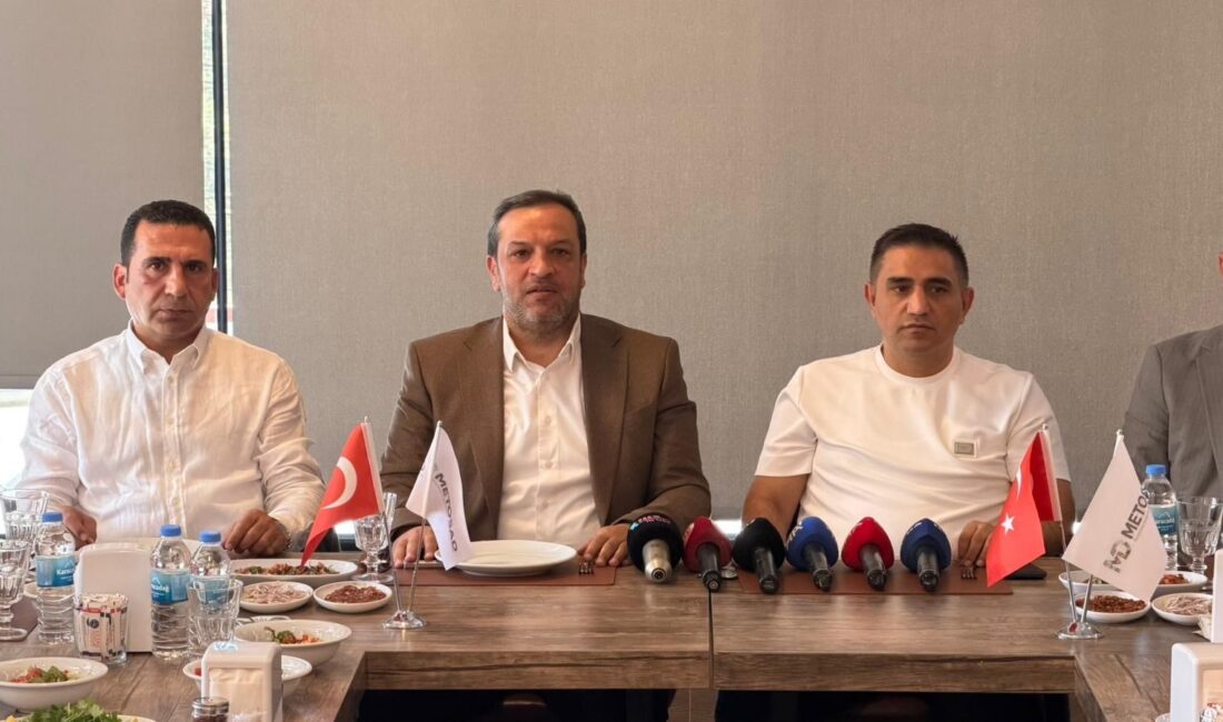 Mezopotamya Seyahat Acenteleri ve Turizm Otelcileri Birliği (METOSAD) Başkanı Veysi
