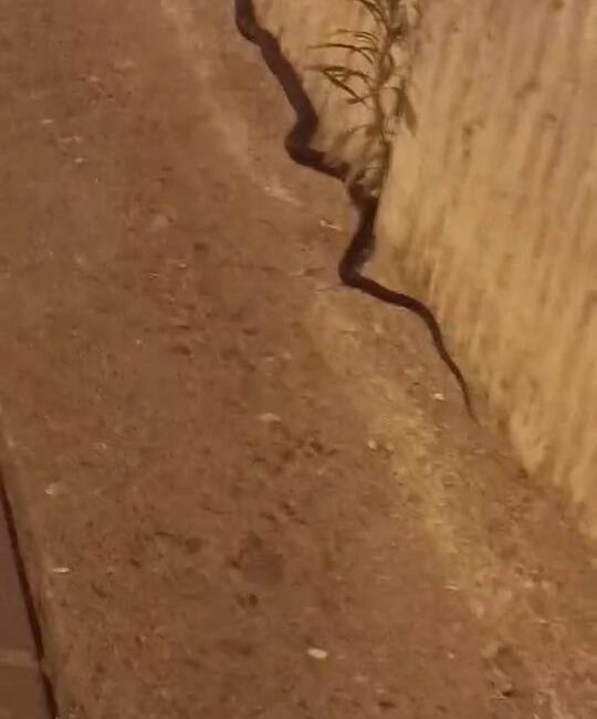 Diyarbakır'ın Yenişehir ilçesindeki bir yolda görülen yaklaşık 2 metre uzunluğundaki