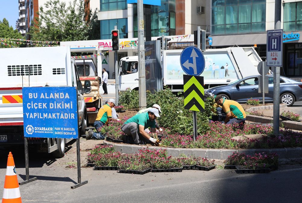 Diyarbakır'da Çin karanfileri caddeleri süslüyor