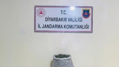 Diyarbakır’da düzenlenen operasyonlarda 19 kilo 800 gram esrar ele geçirildi.