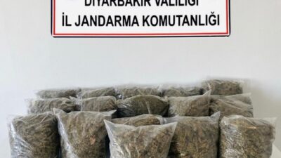 Diyarbakır'da jandarma ekiplerince düzenlenen operasyonlarda 38 buçuk kilo esrar ele