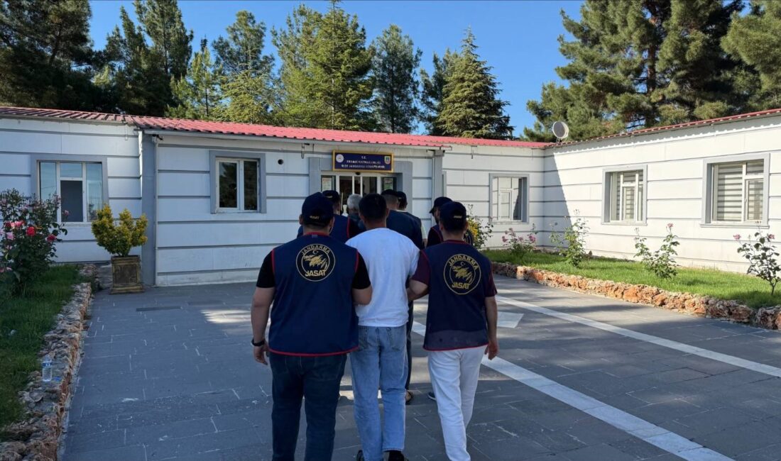 Diyarbakır'da haklarında kesinleşmiş hapis cezası bulunan 24 şahıs jandarma operasyonuyla