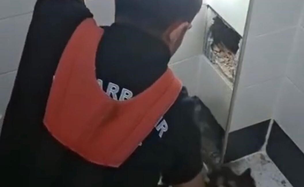 Diyarbakır'ın Kayapınar ilçesinde havalandırma boşluğunda mahsur kalan kedi itfaiye erlerince