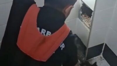 Diyarbakır'ın Kayapınar ilçesinde havalandırma boşluğunda mahsur kalan kedi itfaiye erlerince