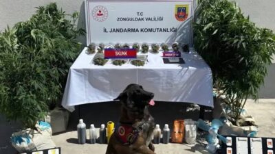 Jandarma Genel Komutanlığınca, uyuşturucu madde satıcılarına yönelik 45 ilde düzenlenen