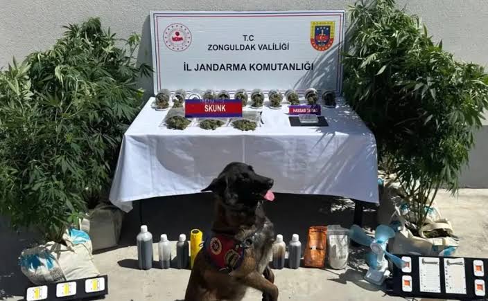 Jandarma Genel Komutanlığınca, uyuşturucu madde satıcılarına yönelik 45 ilde düzenlenen