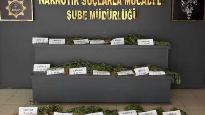 Diyarbakır'da hava destekli operasyonda, UNESCO Dünya Mirası Listesi'ndeki Hevsel Bahçeleri'nde