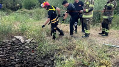 Diyarbakır'ın merkez Sur ilçesinde su kuyusuna düşen yaban domuzu, itfaiye