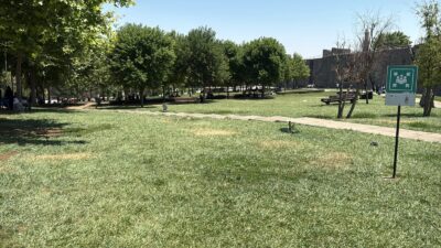 Diyarbakır’da hava sıcaklığının 40 derecenin üzerine çıkmasıyla cadde ve sokaklar
