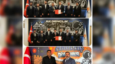 AK Parti Diyarbakır İl Başkanı Hamit Sümer, AK Parti Genel