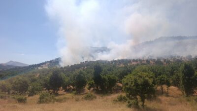 Diyarbakır’ın Çüngüş ilçesinde ağaçlık alanda yangın çıktı. İtfaiye ve jandarma