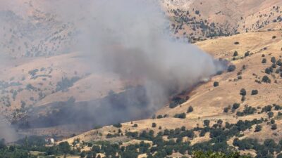 Diyarbakır'ın Çüngüş ilçesinde çıkan örtü ve orman yangını 12 saat