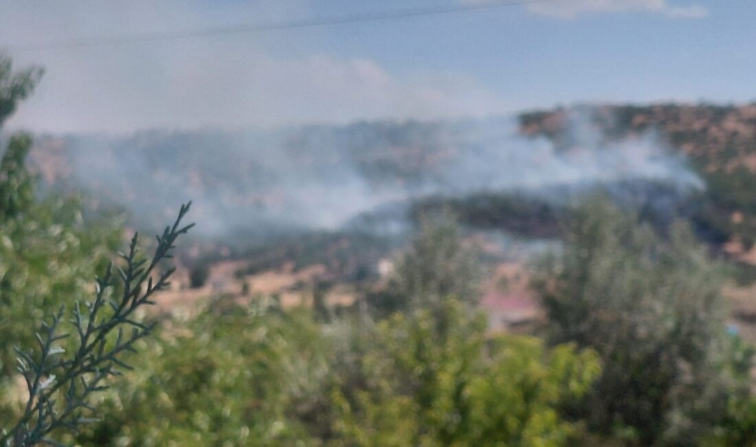 Diyarbakır'ın Dicle ilçesinde örtü yangını çıktı.
