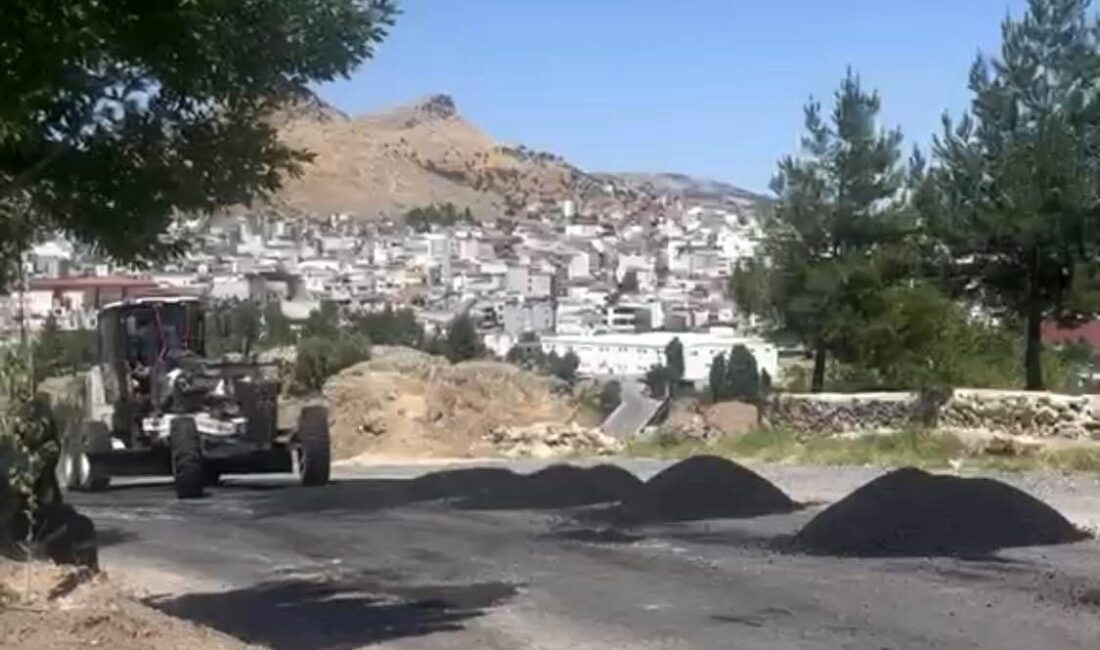 Diyarbakır Büyükşehir Belediyesi, vatandaşların çukurlara ağaç dikerek tepkilerini dile getirdiği