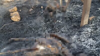 Diyarbakır'ın Çınar ilçesinde meydana gelen anız ve örtü yangınında direkte